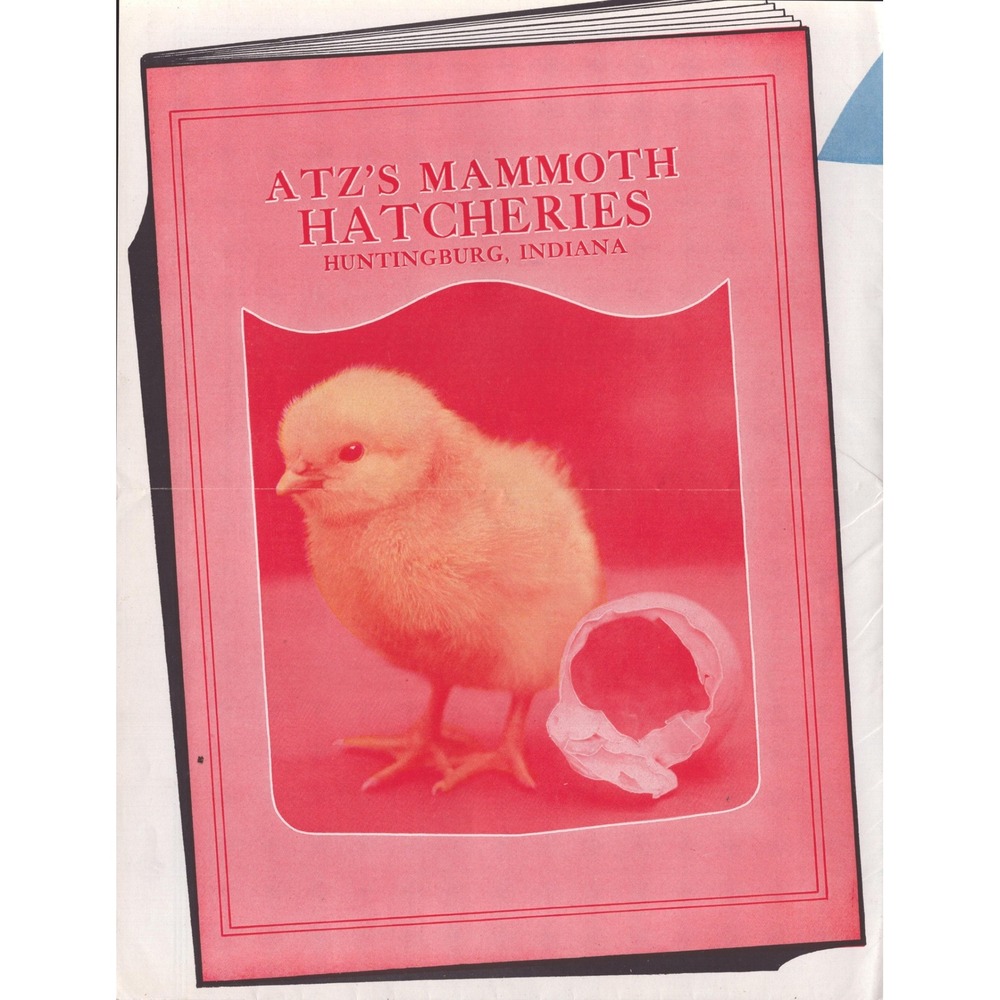 Vtg 1939 Atz's Mammoth Hatcheries Huntingburg Indiana Poultry Chick Catalog Ad - Picture 1 of 2